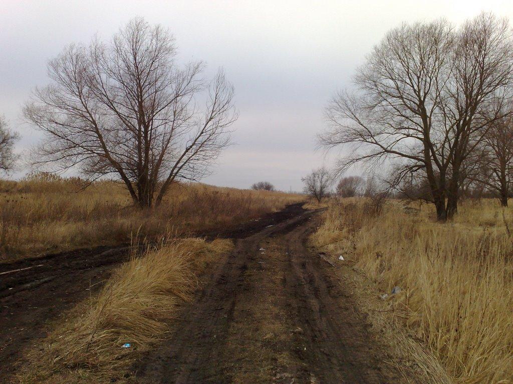 Плетенівка з panoramio.com - Pletenivka