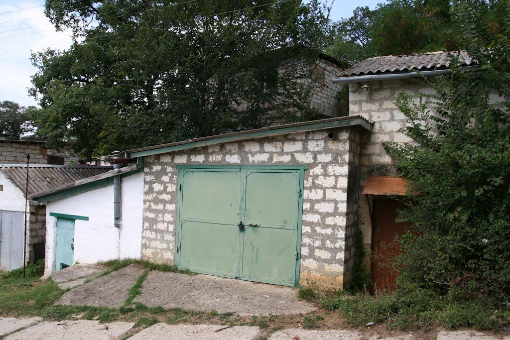 Научний з panoramio.com - Научний