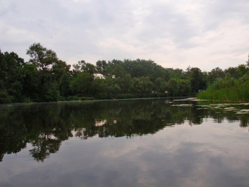 Кияшки з panoramio.com - Кияшки