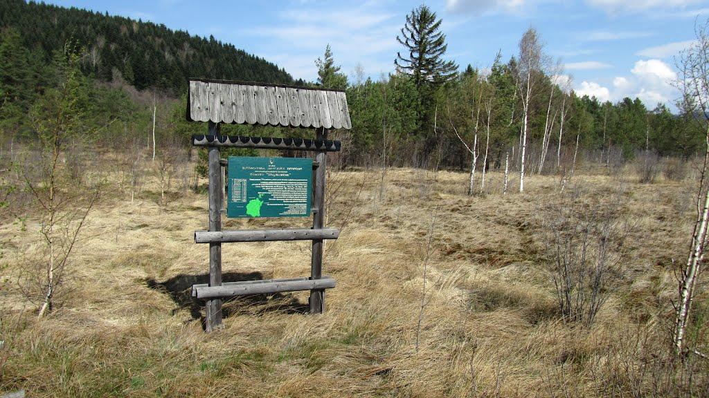 Пшеничники з panoramio.com - Пшеничники