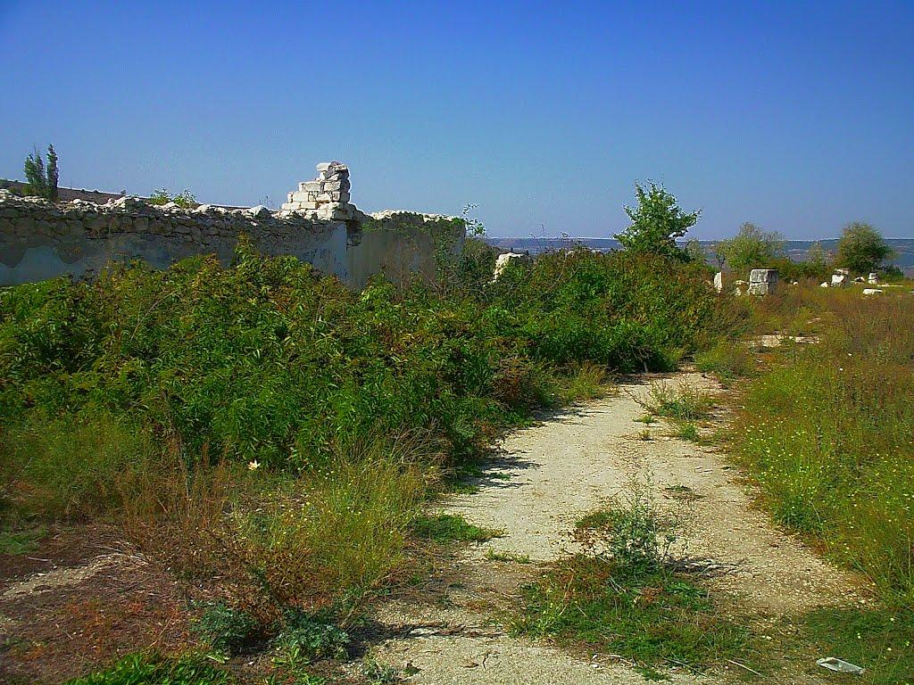 Красний Мак з panoramio.com - Красный Мак