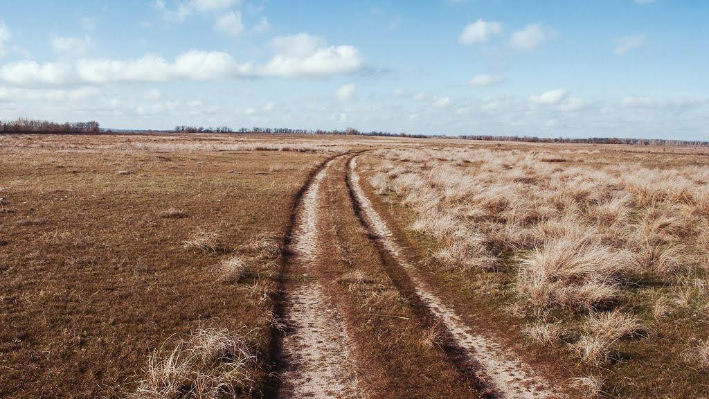 Кам'яний Міст з panoramio.com - Kamyanyy Mist