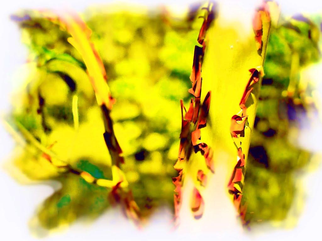 Гончарне з panoramio.com - Гончарне