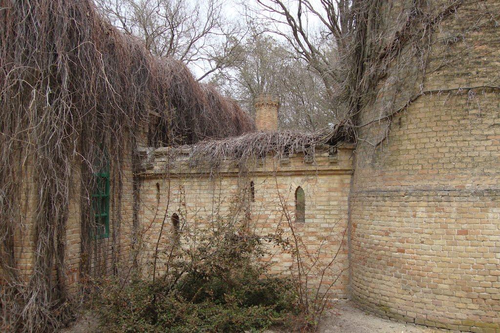 Асканія-Нова з panoramio.com - Askaniya-Nova