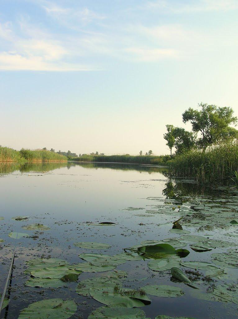 Вища Дубечня з panoramio.com - Высшая Дубечня