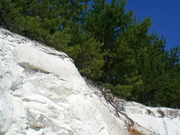 Плетенівка з panoramio.com - Плетеновка