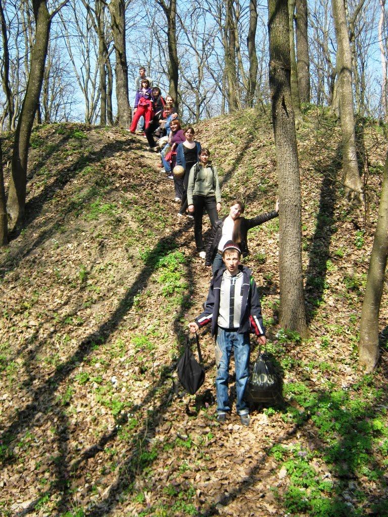 Дібрівка з panoramio.com - Дибровка