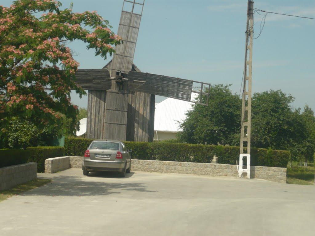 Орлівка з panoramio.com - Орловка