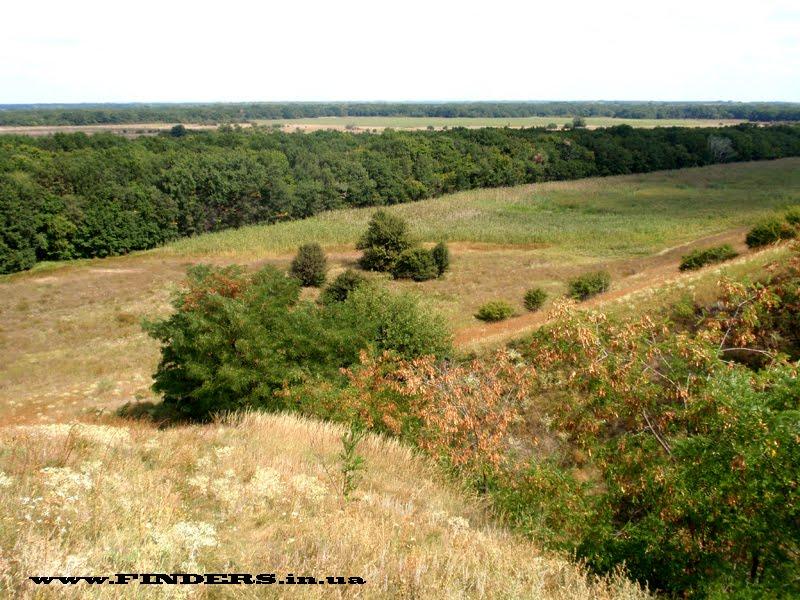 Дубове з panoramio.com - Дубове