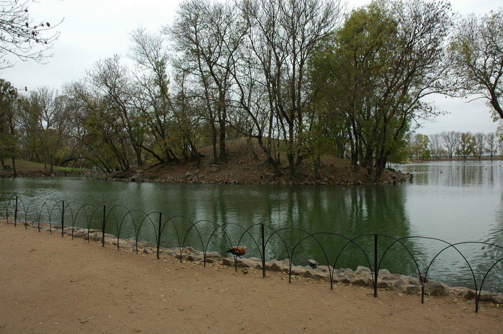 Асканія-Нова з panoramio.com - Askaniya-Nova