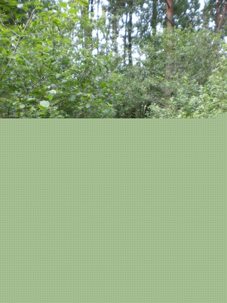 Велика Доч з panoramio.com - Велика Доч