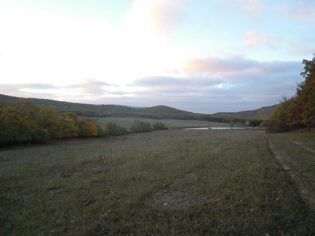 Синьокам'янка з panoramio.com - Синекаменка