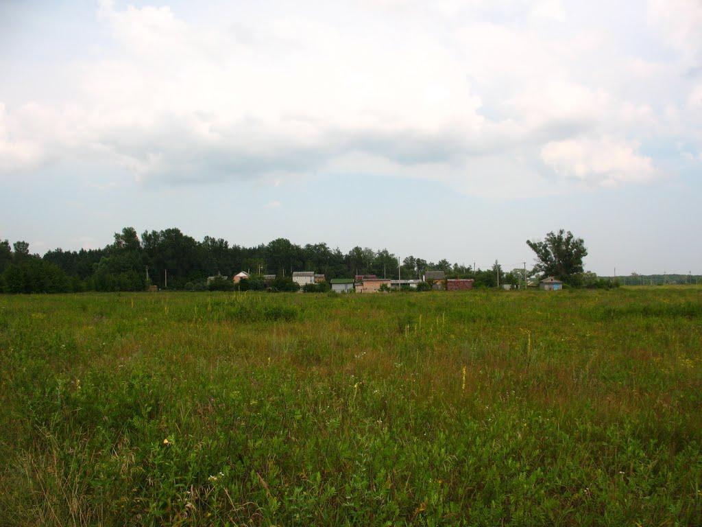 Гавронці з panoramio.com