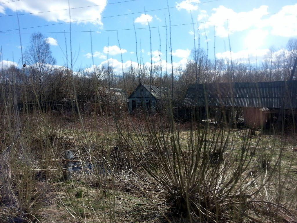 Нівецьке з panoramio.com - Нивецкое