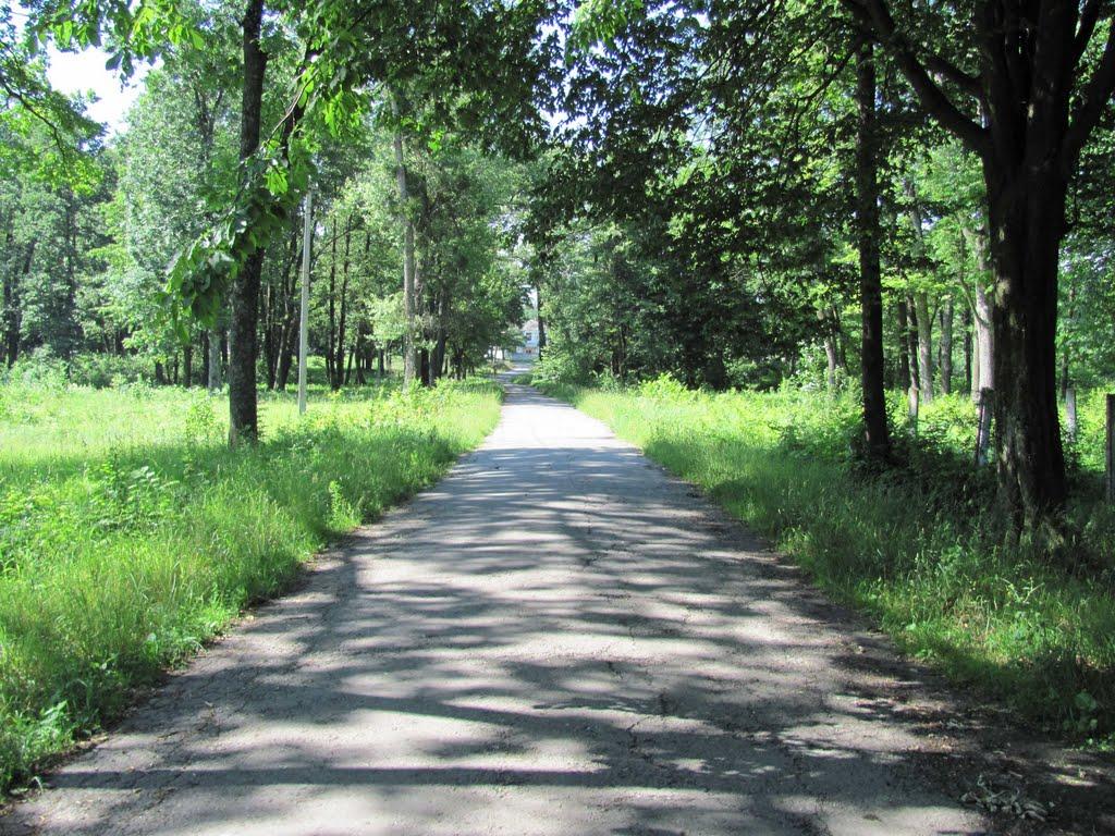 Березівка з panoramio.com - Березівка