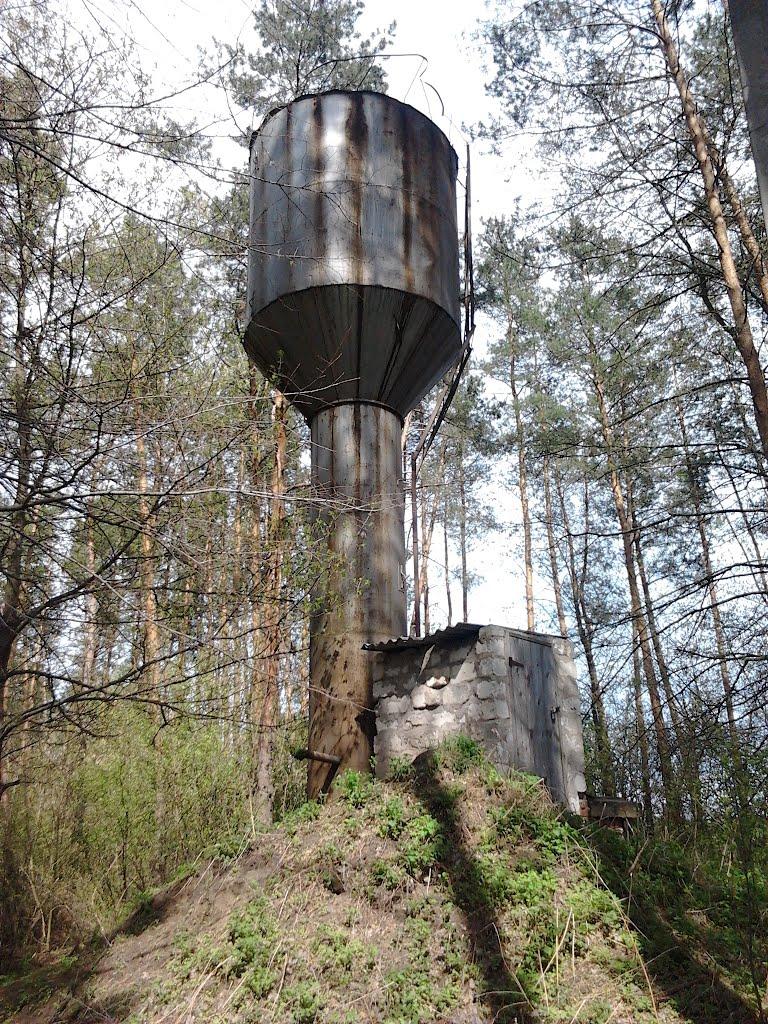 Долина з panoramio.com - Долина