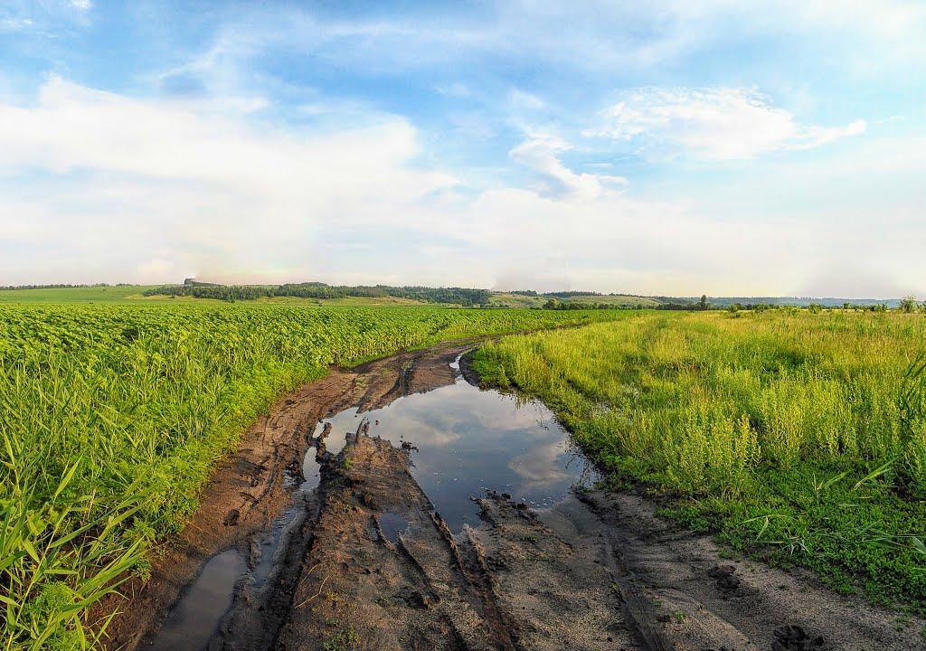 Кам'яний Міст з panoramio.com - Kamyanyy Mist