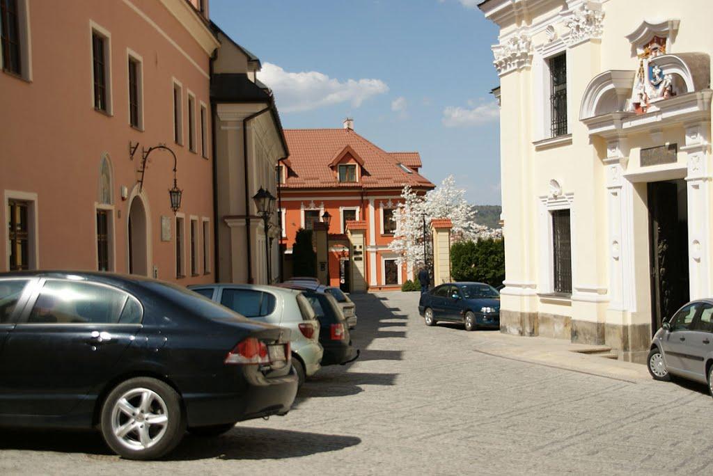 Нижанковичі з panoramio.com (ч.2) - Nyzhankovychi