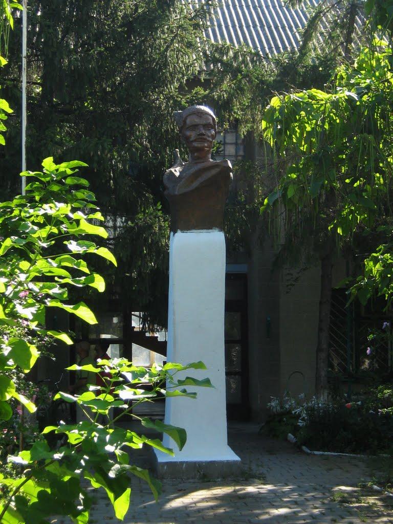 Рені з panoramio.com - Рени