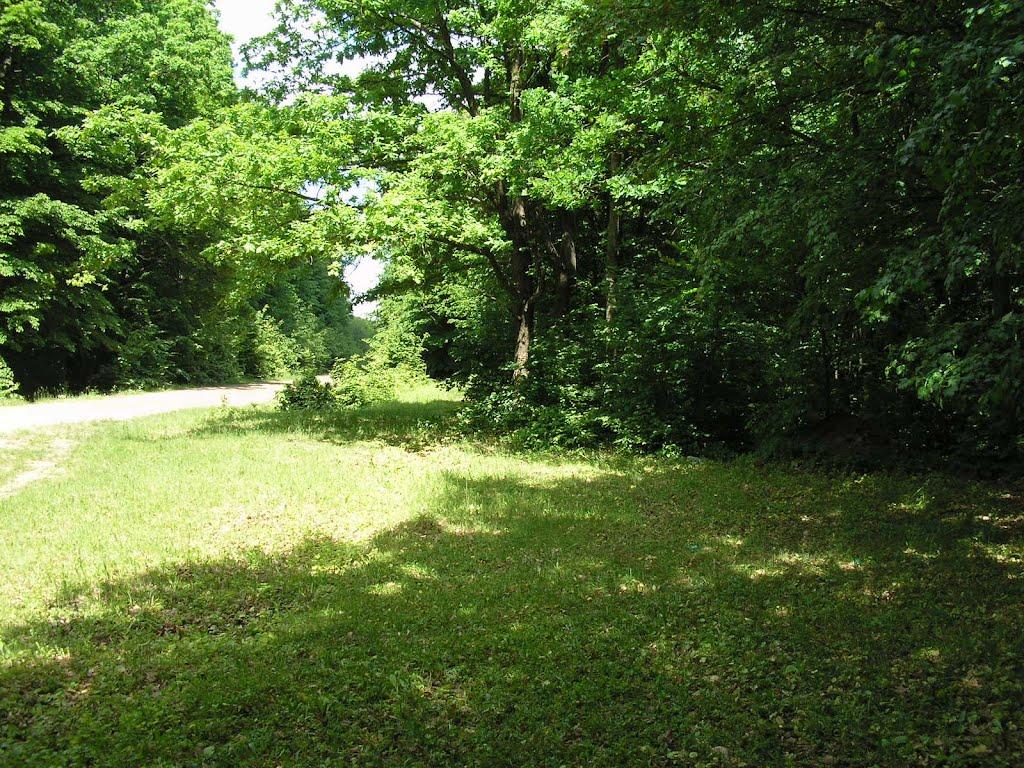 Капітанівка з panoramio.com - Капітанівка