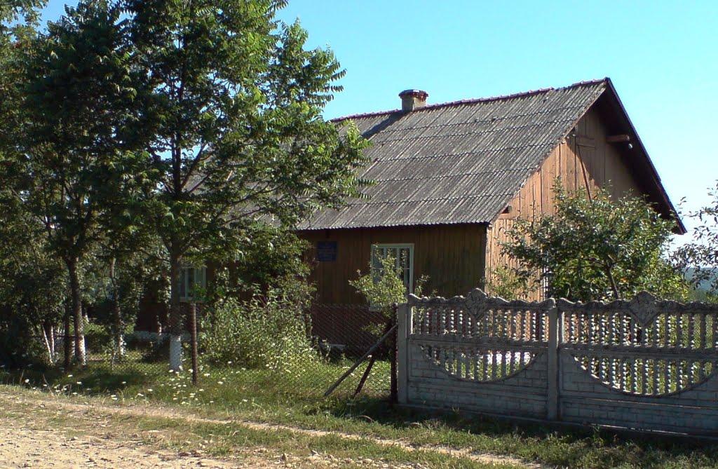 Павликівка з panoramio.com - Павликівка