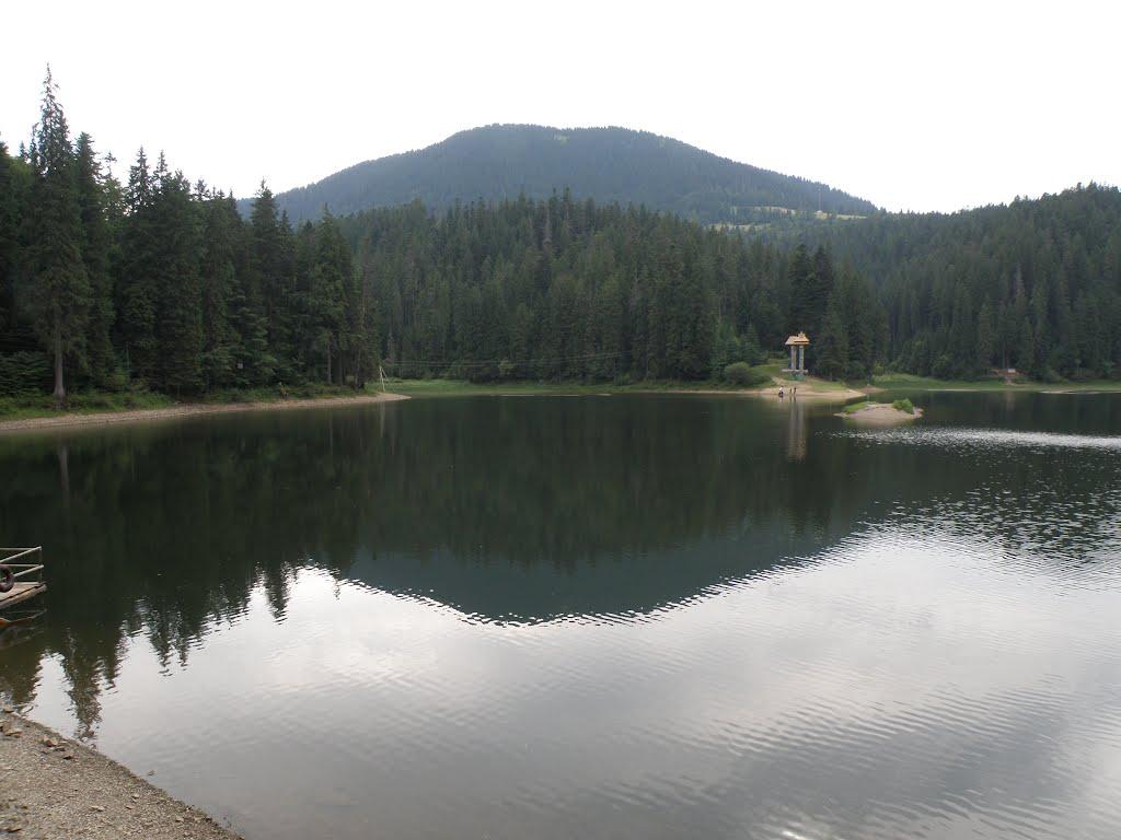 Синевирська Поляна з panoramio.com - Синевирская Поляна