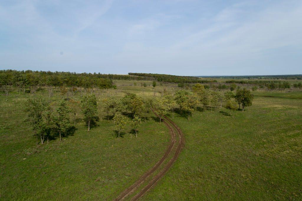 Тернувате з panoramio.com - Терноватое