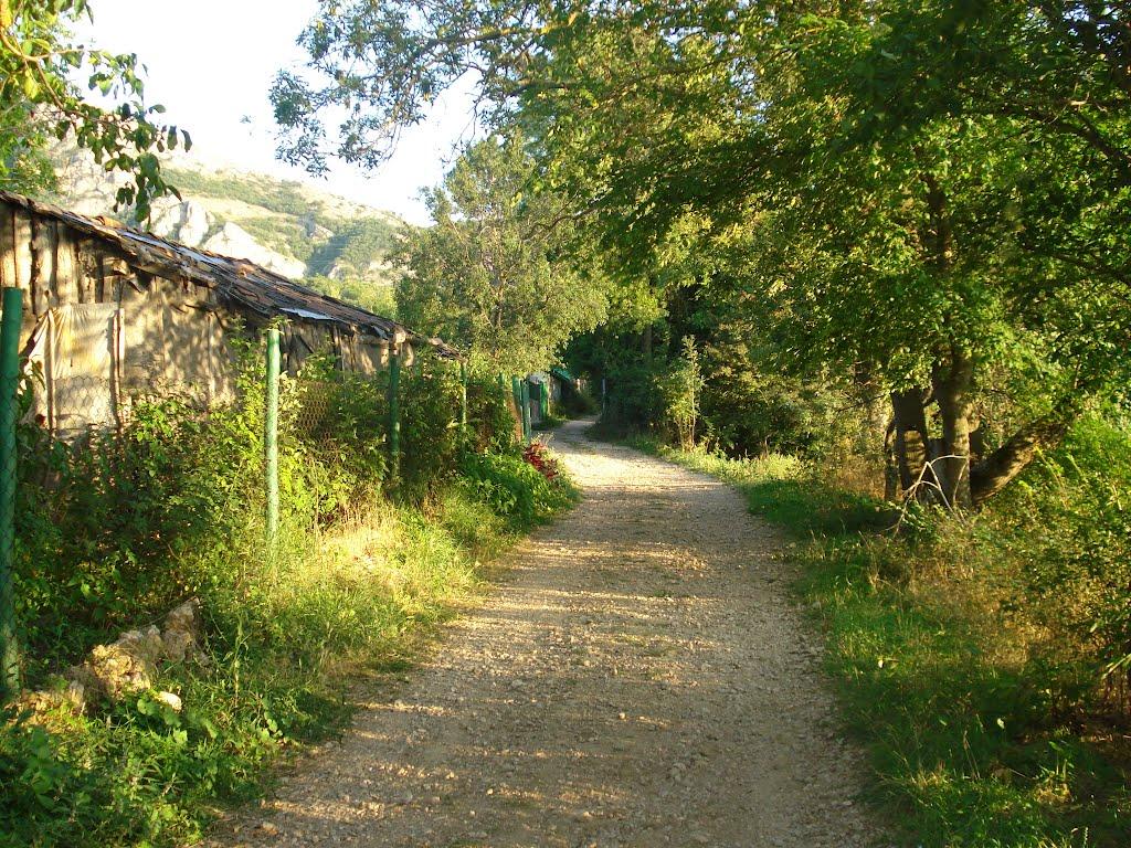 Поляна з panoramio.com - Поляна