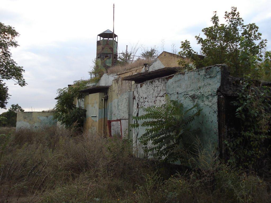 Великий Дальник з panoramio.com - Великий Дальник