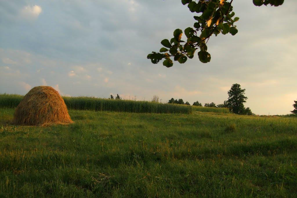 Яблунівка з panoramio.com - Яблунівка