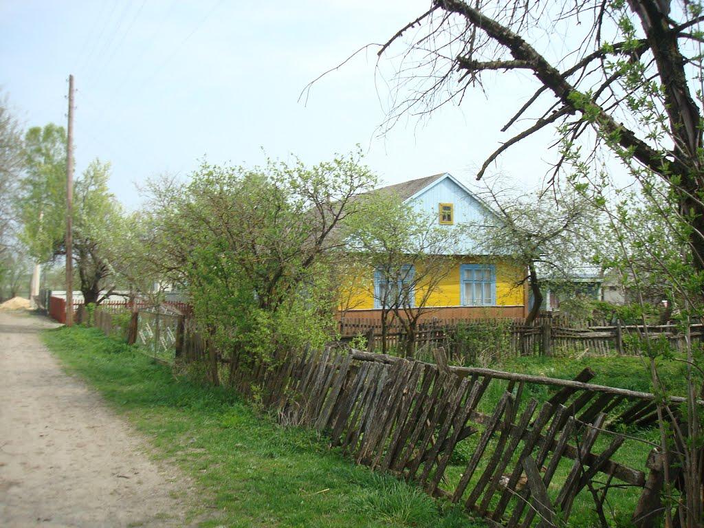 Дроздні з panoramio.com - Drozdni