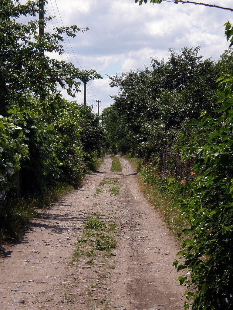 Ювілейне з panoramio.com - Ювілейне