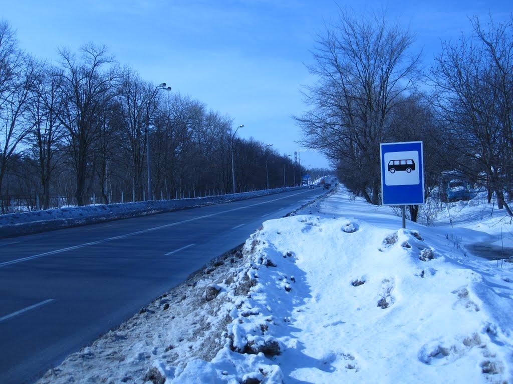 Кияшки з panoramio.com - Кияшки