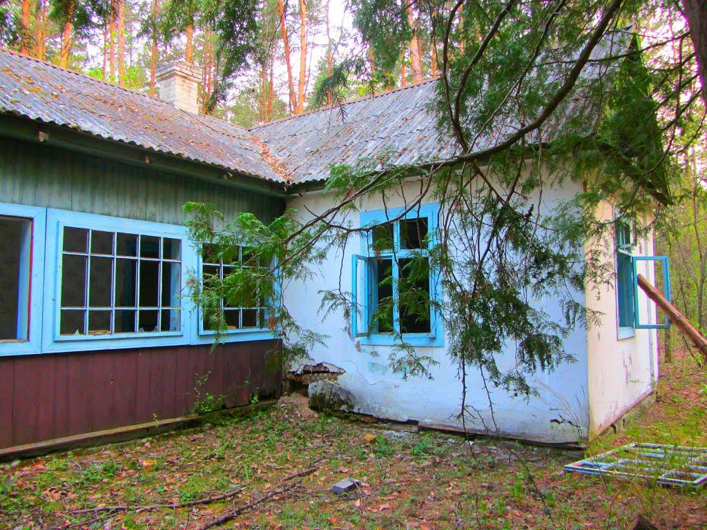 Семки з panoramio.com - Семки