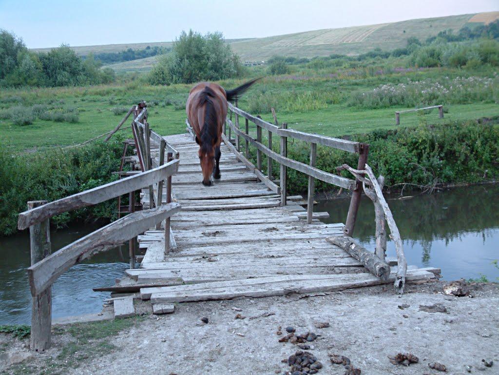 Купчинці з panoramio.com - Kupchyntsi