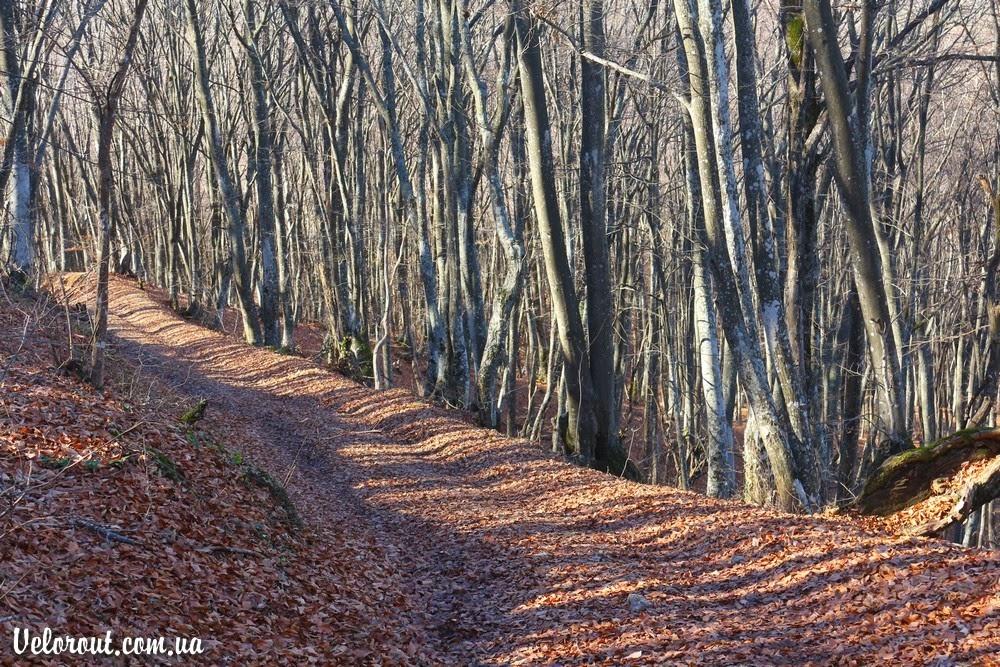 Багата Ущелина з panoramio.com - Багата Ущелина