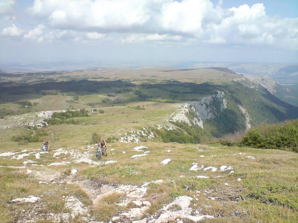 Лаванда з panoramio.com (ч.2) - Лаванда