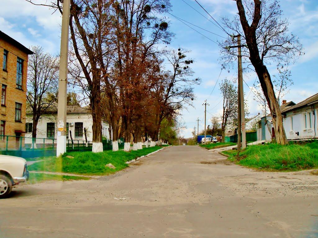 Гудзівка з panoramio.com - Гудзовка