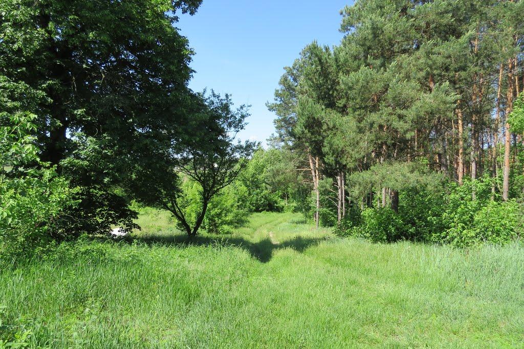 Софіївка з panoramio.com - Софиевка
