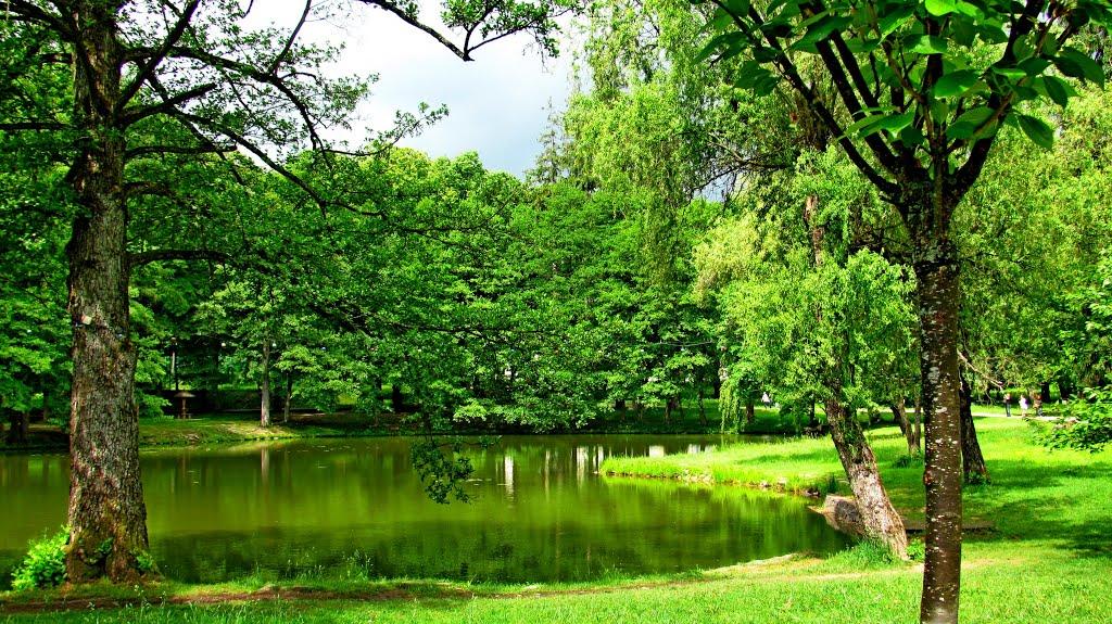 Карпати з panoramio.com - Карпаты