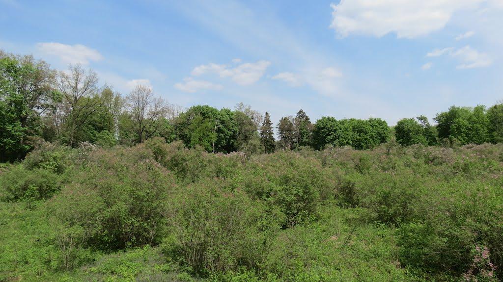 Диканька з panoramio.com - Диканька