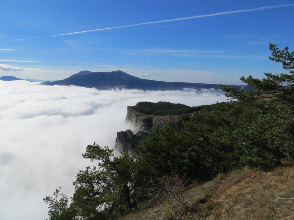 Лаванда з panoramio.com (ч.2) - Лаванда