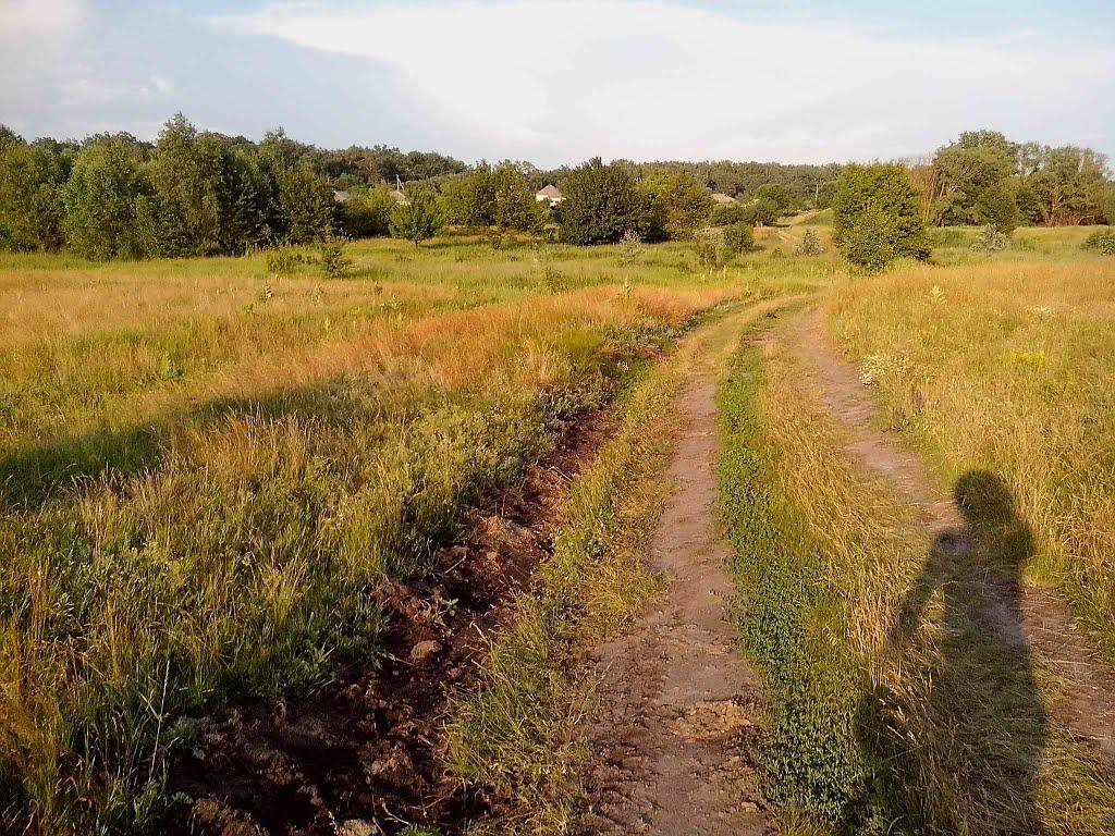 Приліпка з panoramio.com - Приліпка