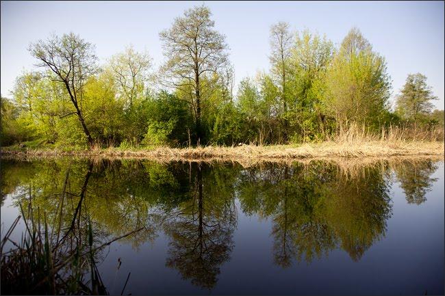 Виграїв з panoramio.com - Виграїв