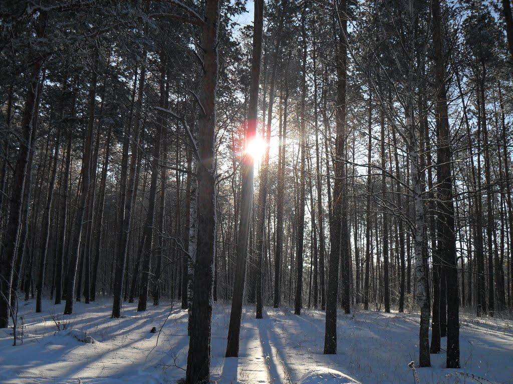 Шостка з panoramio.com - Шостка