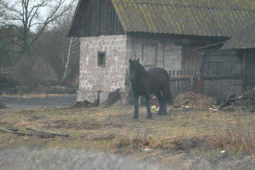 Буда з panoramio.com - Буда