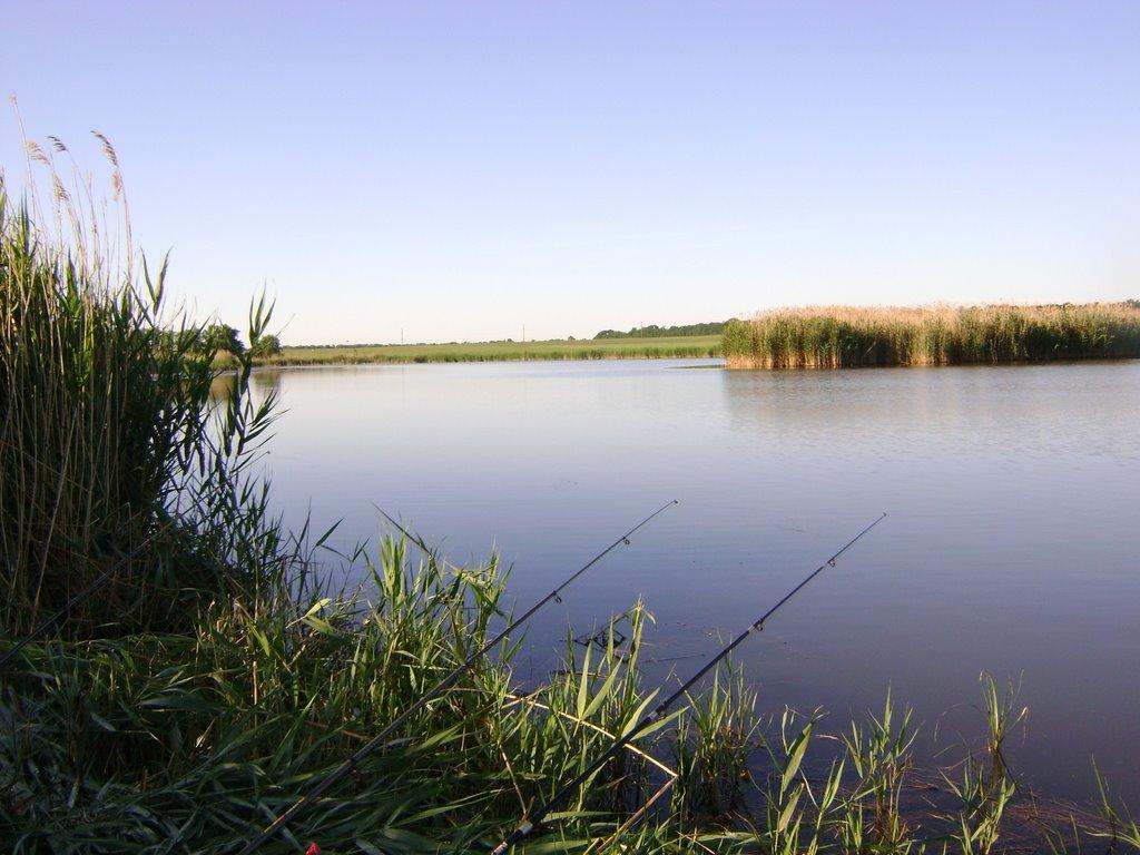 Новосілка з panoramio.com - Новоселка