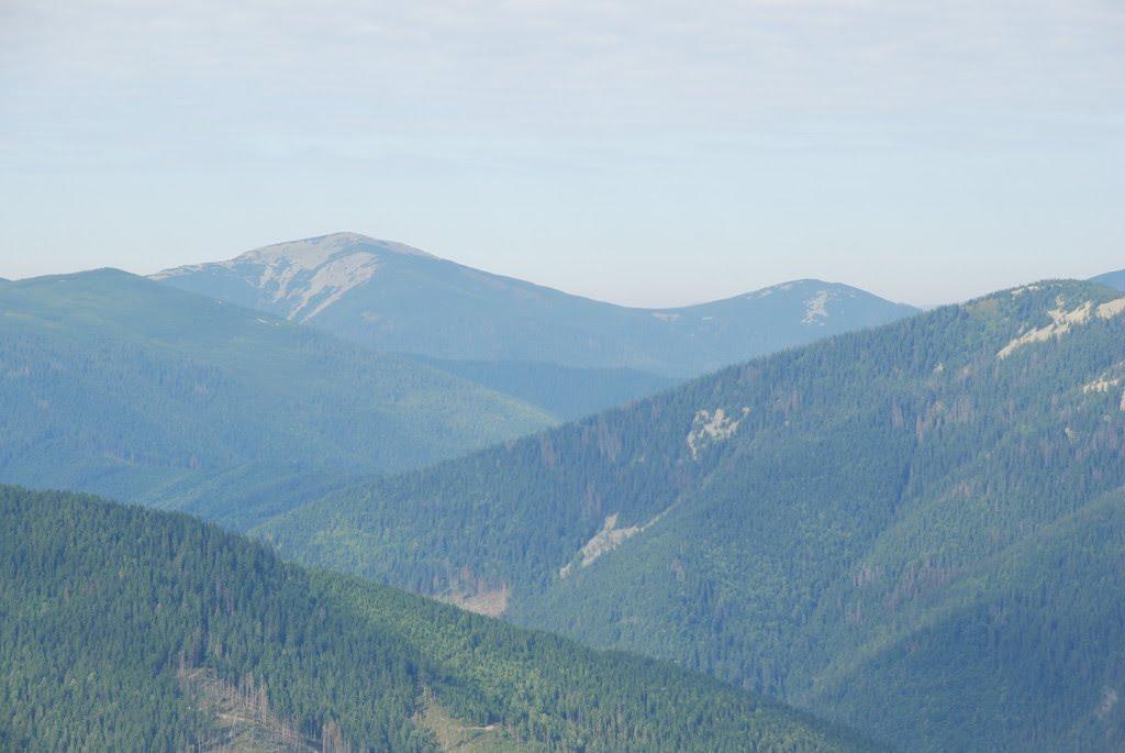 Осмолода з panoramio.com (ч.2) - Осмолода