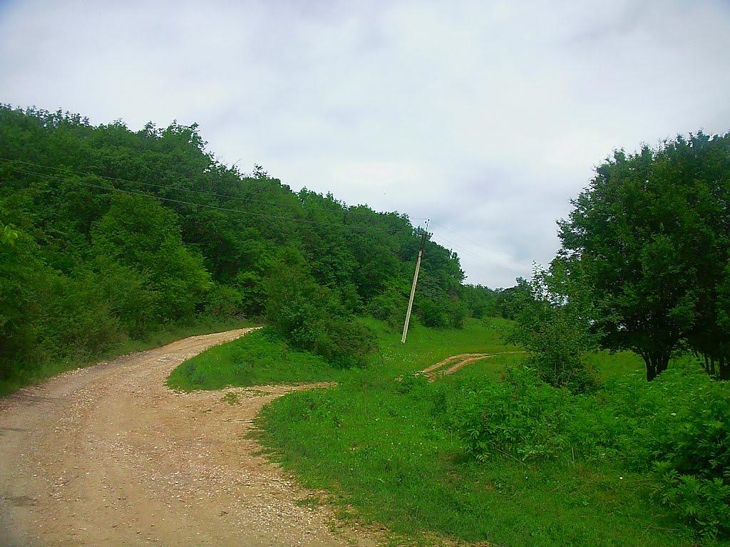 Краснолісся з panoramio.com - Краснолесье