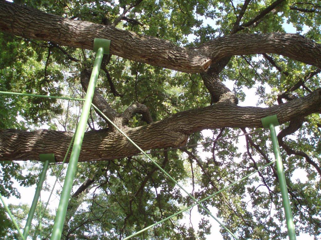 Будище з panoramio.com - Будище